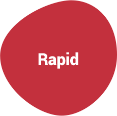 rapid